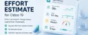 Project Effort Estimate