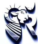 Aries Software